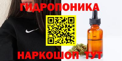 кокс Краснодар