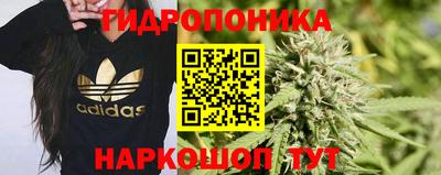 кокс Краснодар