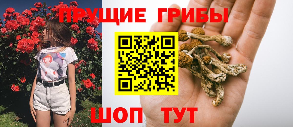Псилоцибиновые грибы Psilocybine cubensis  Галлюциногенные грибы GOLDEN TEACHER  купить  сайты  Усть-Илимск  Вход с VPN 